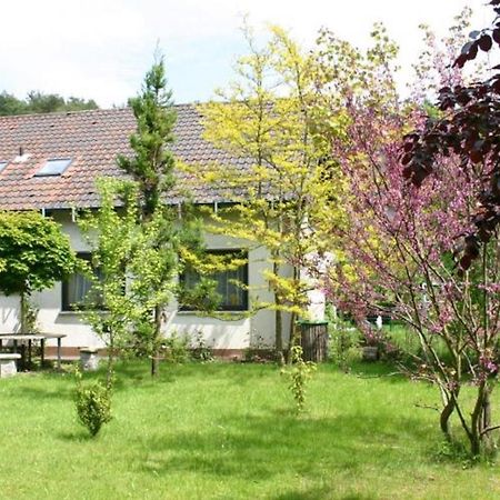 Pension Haus Zum Schlehenberg Bayreuth Buitenkant foto