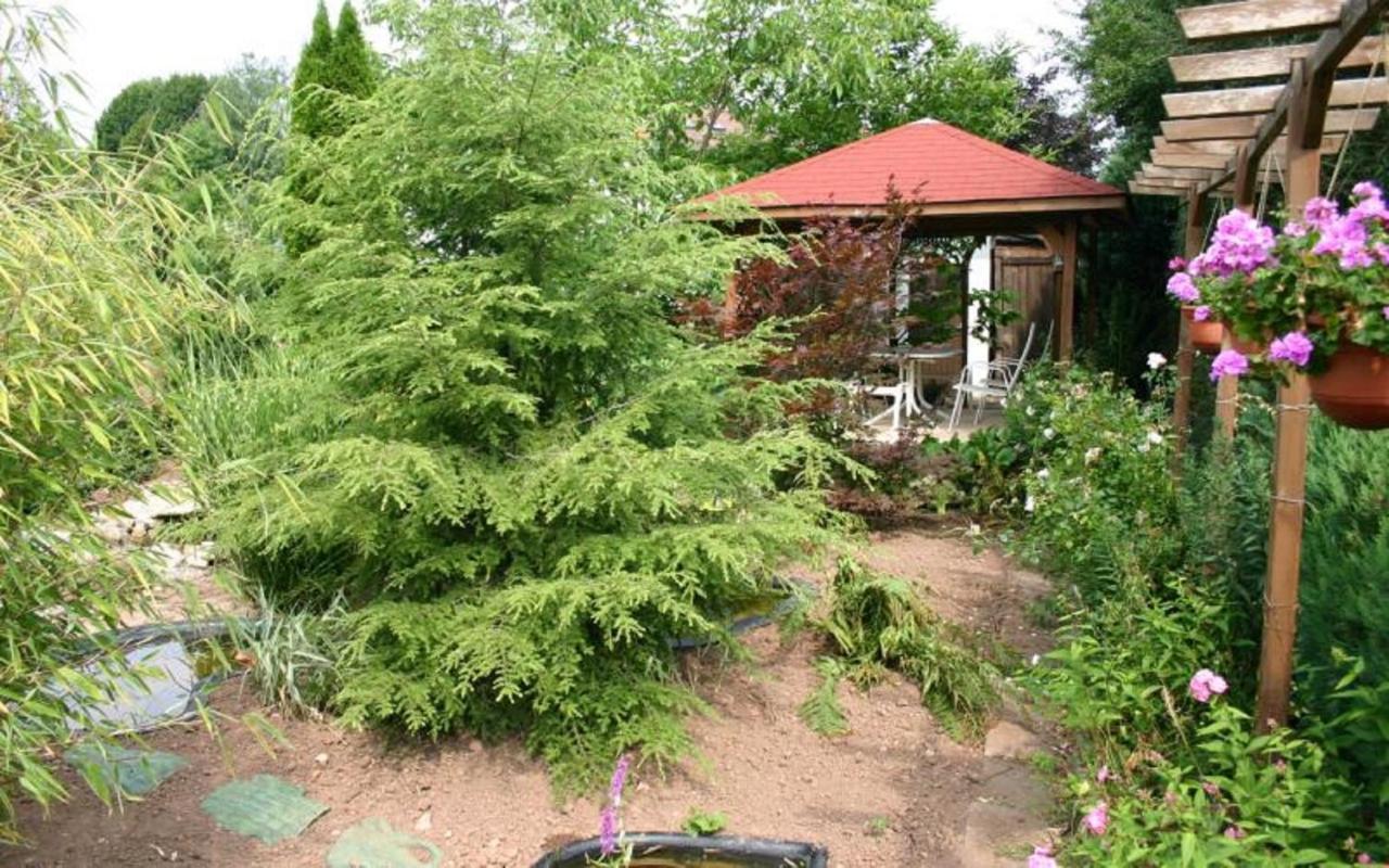 Pension Haus Zum Schlehenberg Bayreuth Buitenkant foto